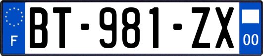 BT-981-ZX