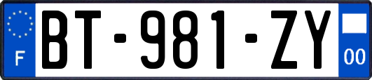 BT-981-ZY