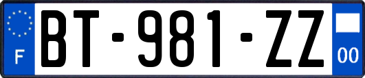 BT-981-ZZ