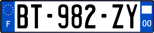 BT-982-ZY