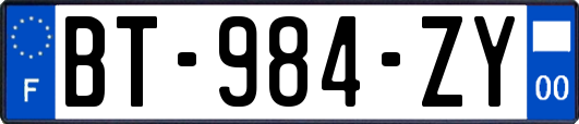 BT-984-ZY