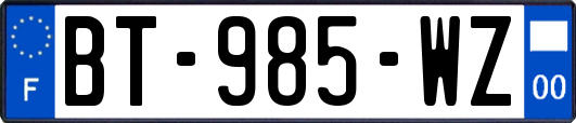 BT-985-WZ