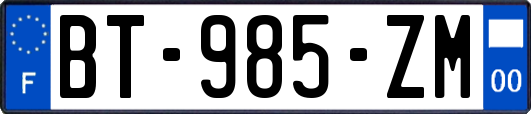 BT-985-ZM