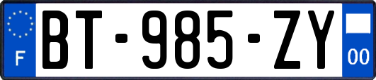 BT-985-ZY