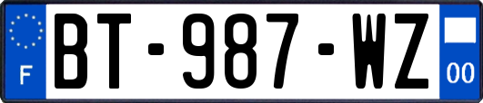 BT-987-WZ