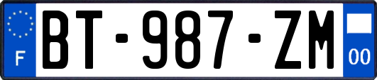 BT-987-ZM