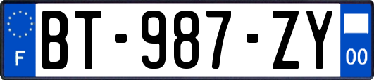 BT-987-ZY
