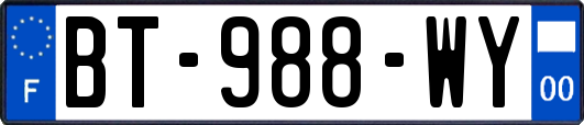 BT-988-WY