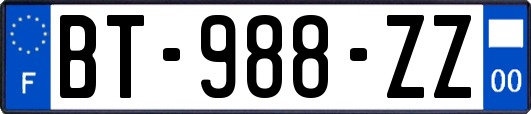 BT-988-ZZ