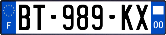 BT-989-KX