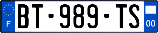 BT-989-TS