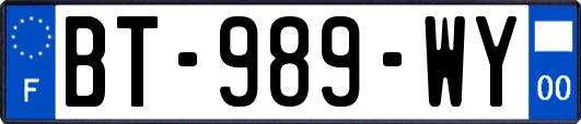 BT-989-WY