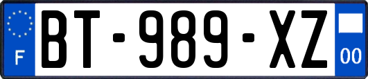 BT-989-XZ