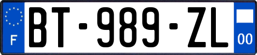 BT-989-ZL