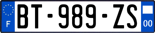 BT-989-ZS