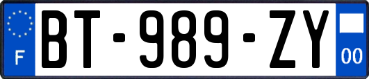 BT-989-ZY