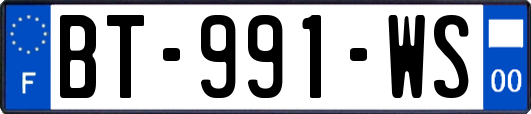 BT-991-WS