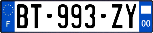 BT-993-ZY