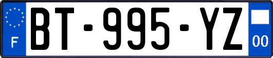 BT-995-YZ