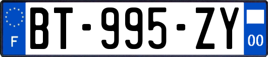 BT-995-ZY