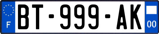 BT-999-AK