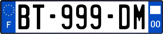 BT-999-DM