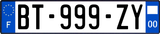 BT-999-ZY