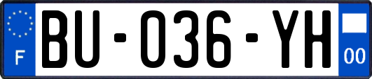 BU-036-YH
