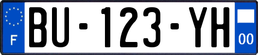 BU-123-YH