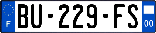 BU-229-FS