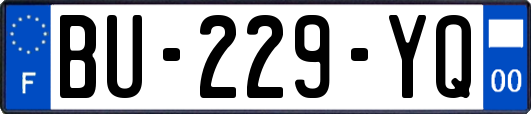 BU-229-YQ