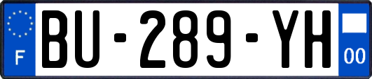BU-289-YH