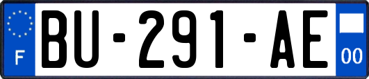 BU-291-AE