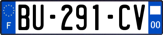 BU-291-CV