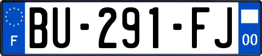 BU-291-FJ