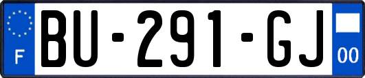 BU-291-GJ