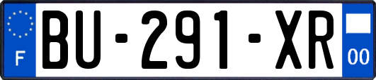 BU-291-XR