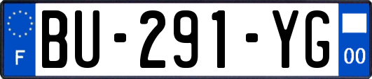 BU-291-YG