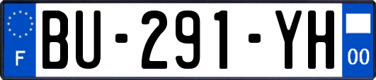 BU-291-YH