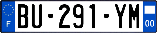 BU-291-YM