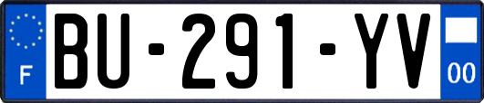 BU-291-YV