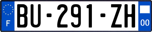 BU-291-ZH
