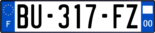BU-317-FZ