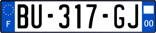BU-317-GJ