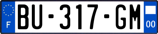 BU-317-GM