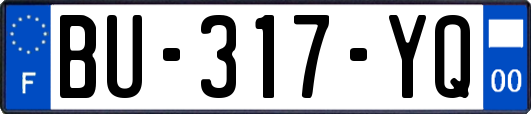 BU-317-YQ