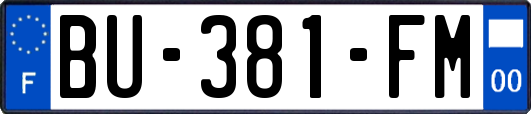BU-381-FM