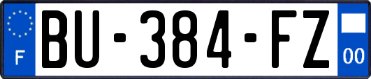 BU-384-FZ