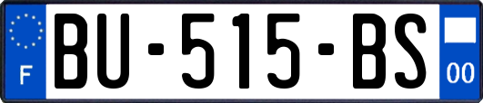 BU-515-BS