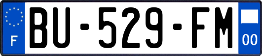 BU-529-FM